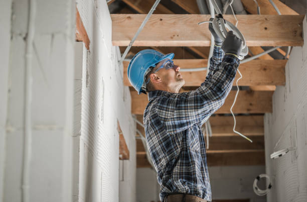 Best Electric Panel Repair  in Brownsville, TN